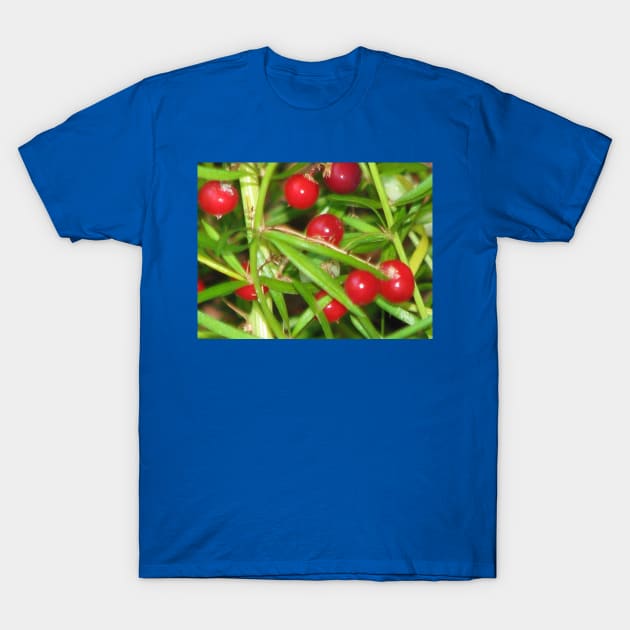 We're not rotten tomatoes T-Shirt by FriendlyComputerHelp